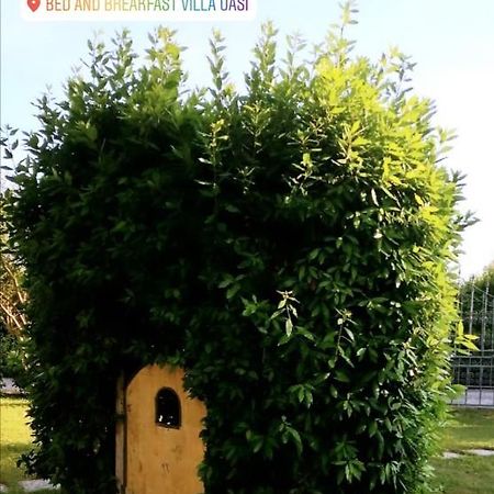 Villa Oasi San Giuliano Terme Ngoại thất bức ảnh