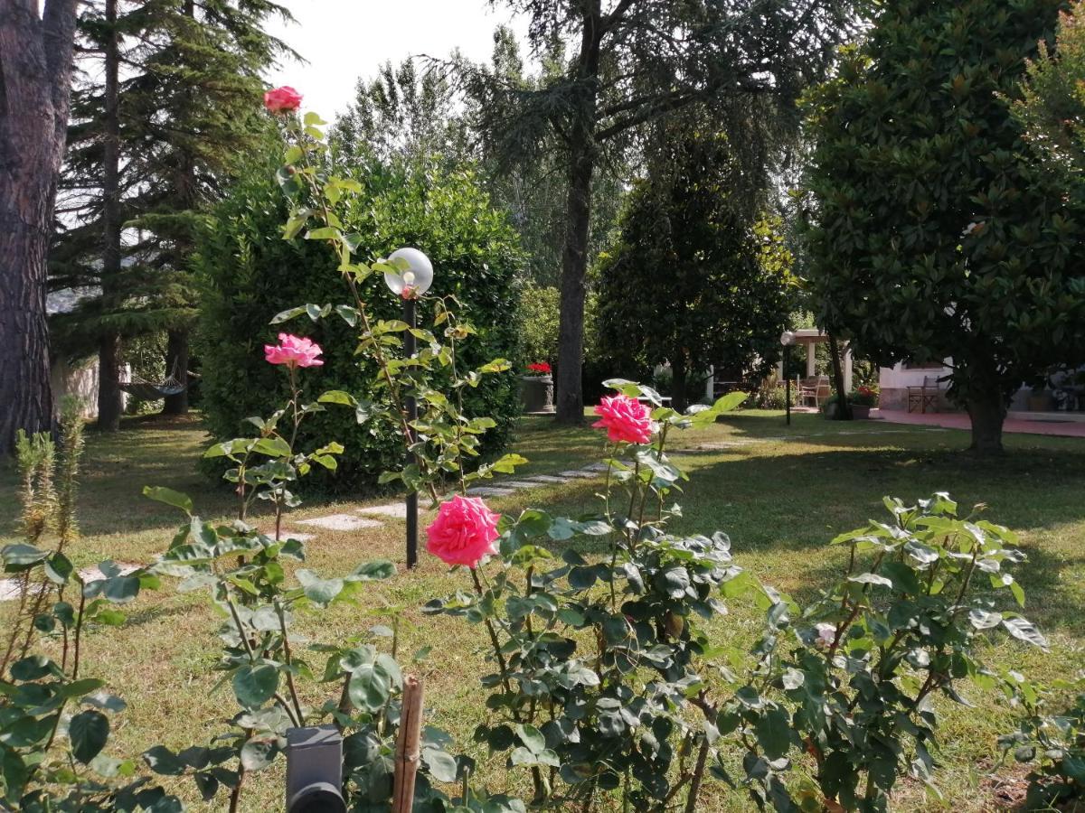 Villa Oasi San Giuliano Terme Ngoại thất bức ảnh